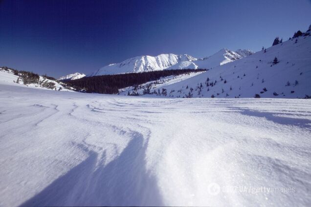Карпаты завалило снегом: в сети опубликовали яркие фото ''апокалипсиса''