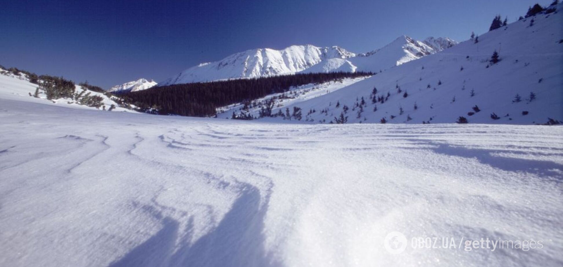 Карпаты завалило снегом: в сети опубликовали яркие фото ''апокалипсиса''