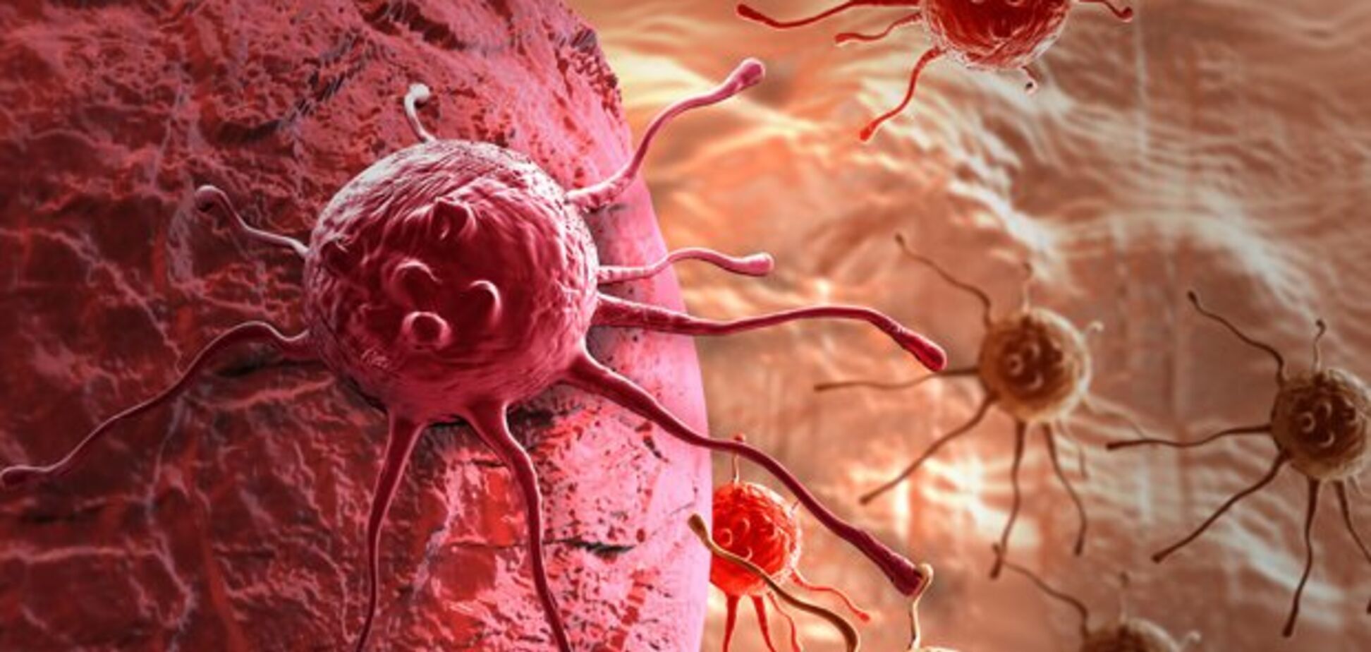 Рак може самознищитися: вчені зробили прорив у лікуванні