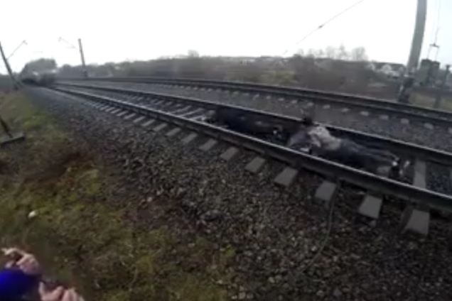 ''Смертники!'' В Ривне подростки прыгнули под поезд: опубликовано видео