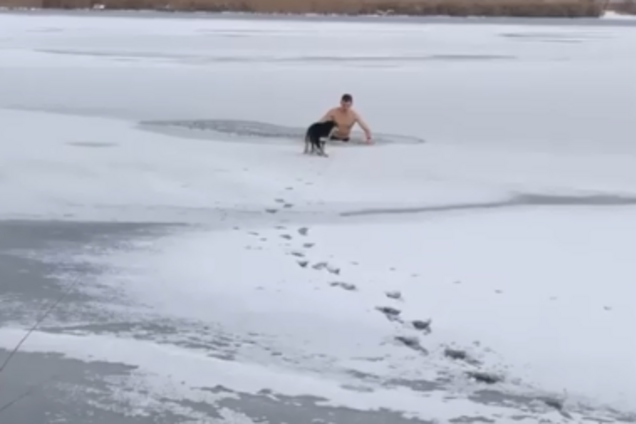 ''Человечище!'' Спасение собаки из ледяной ловушки в Николаеве попало на видео