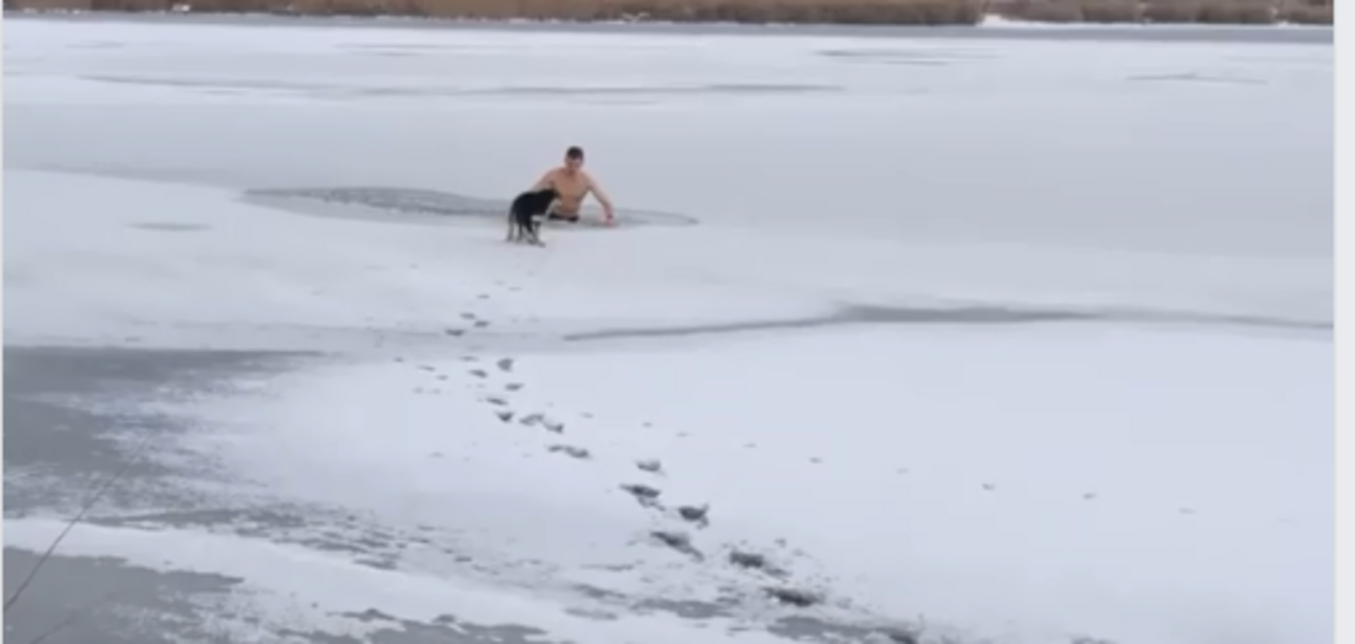 ''Человечище!'' Спасение собаки из ледяной ловушки в Николаеве попало на видео