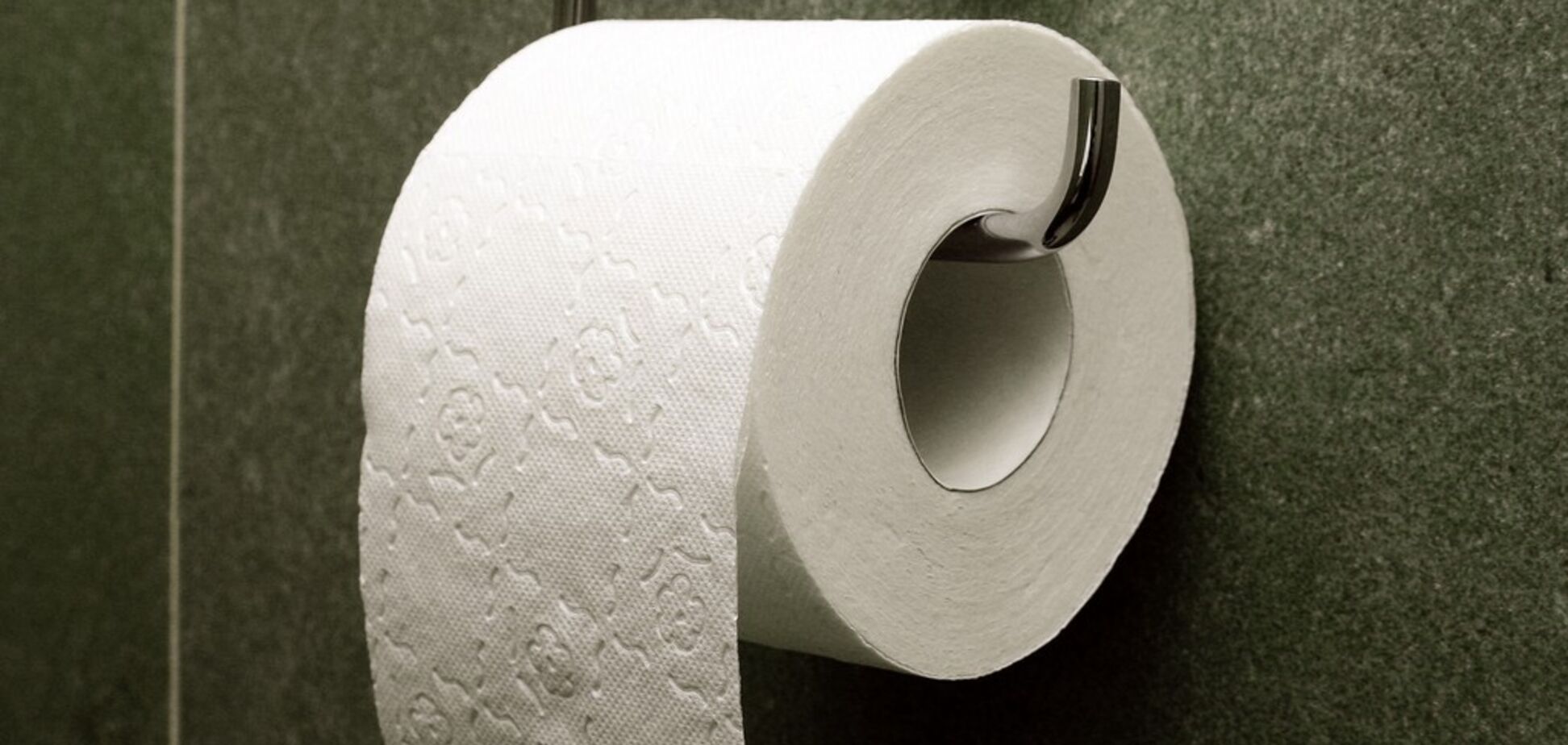 В Германии предложили отказаться от туалетной бумаги