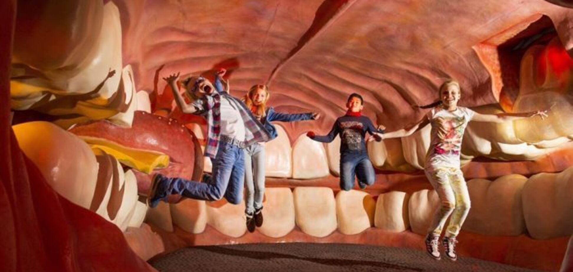 Видовище не для людей зі слабкими нервами: як виглядає унікальний Музей тіла в Нідерландах