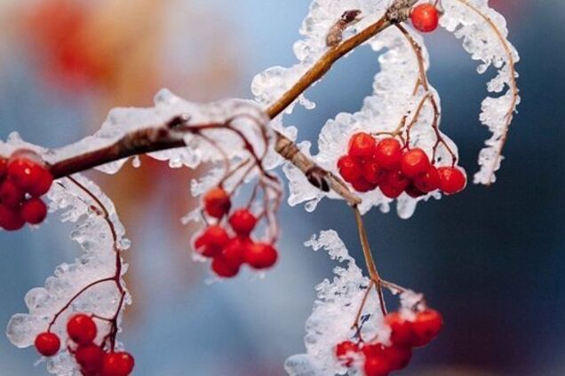 Морозы возвращаются: синоптики дали холодный прогноз по Украине