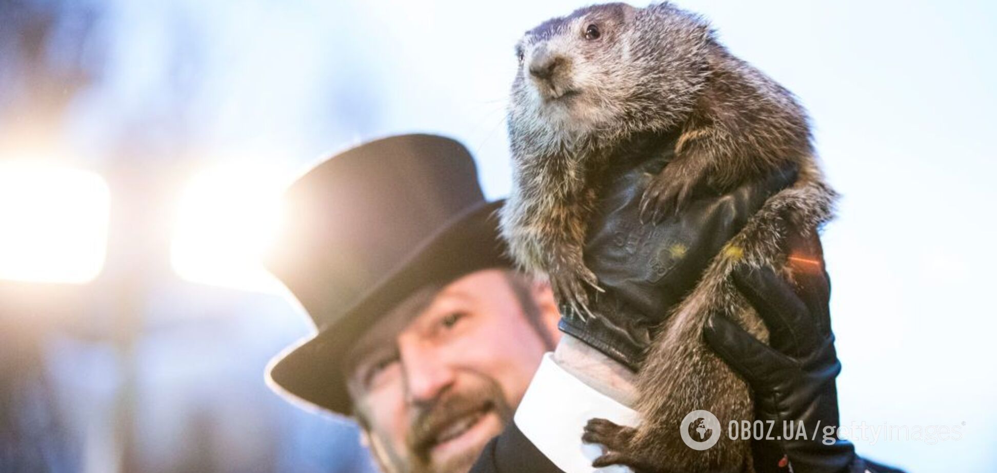 День сурка: история и особенности праздника