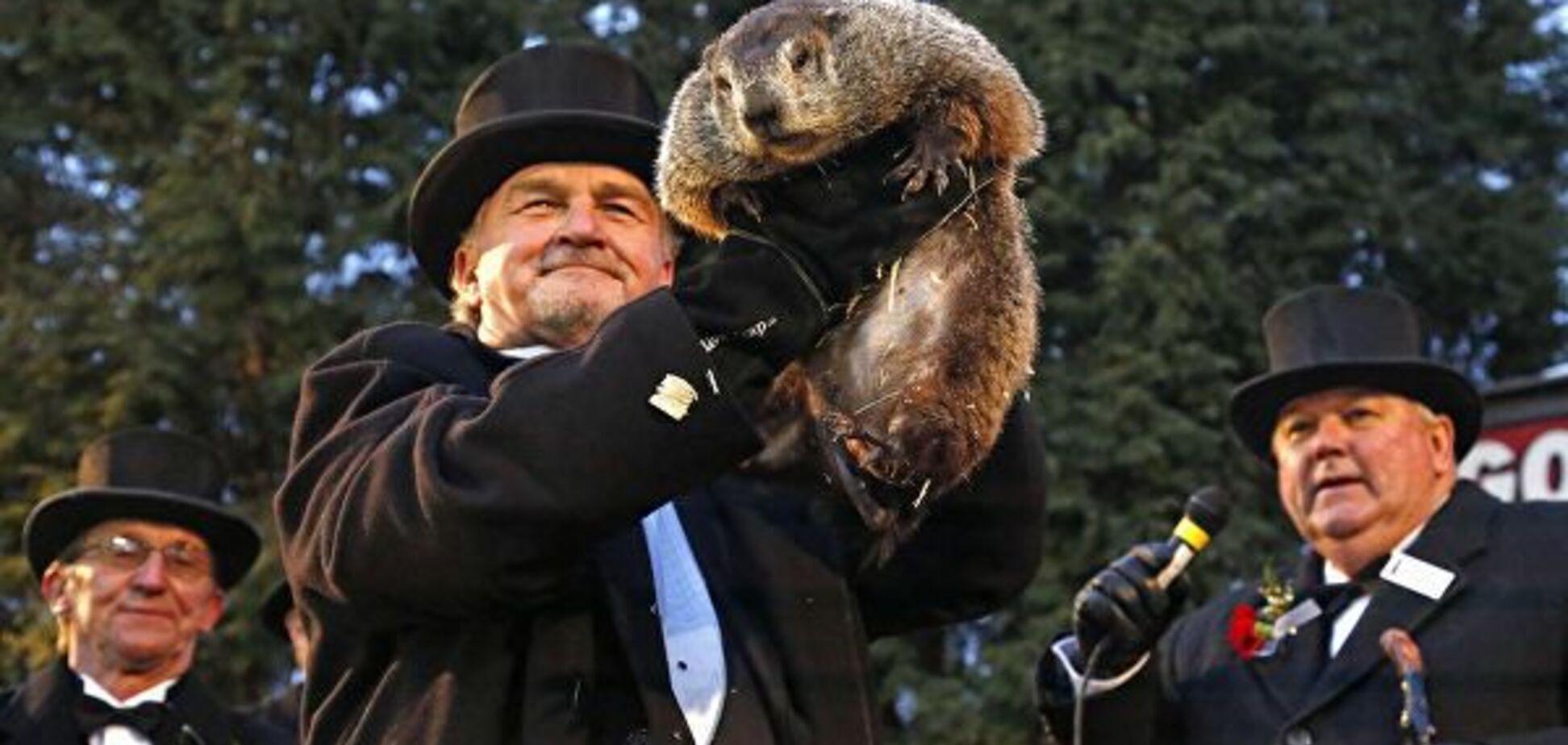 День сурка-2019: приметы и традиции