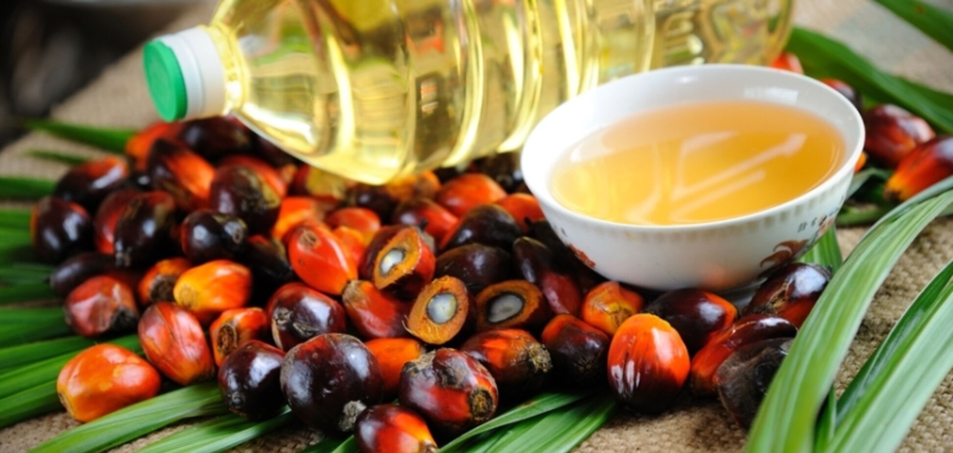 Опасно для жизни: выяснился вред пальмового масла 