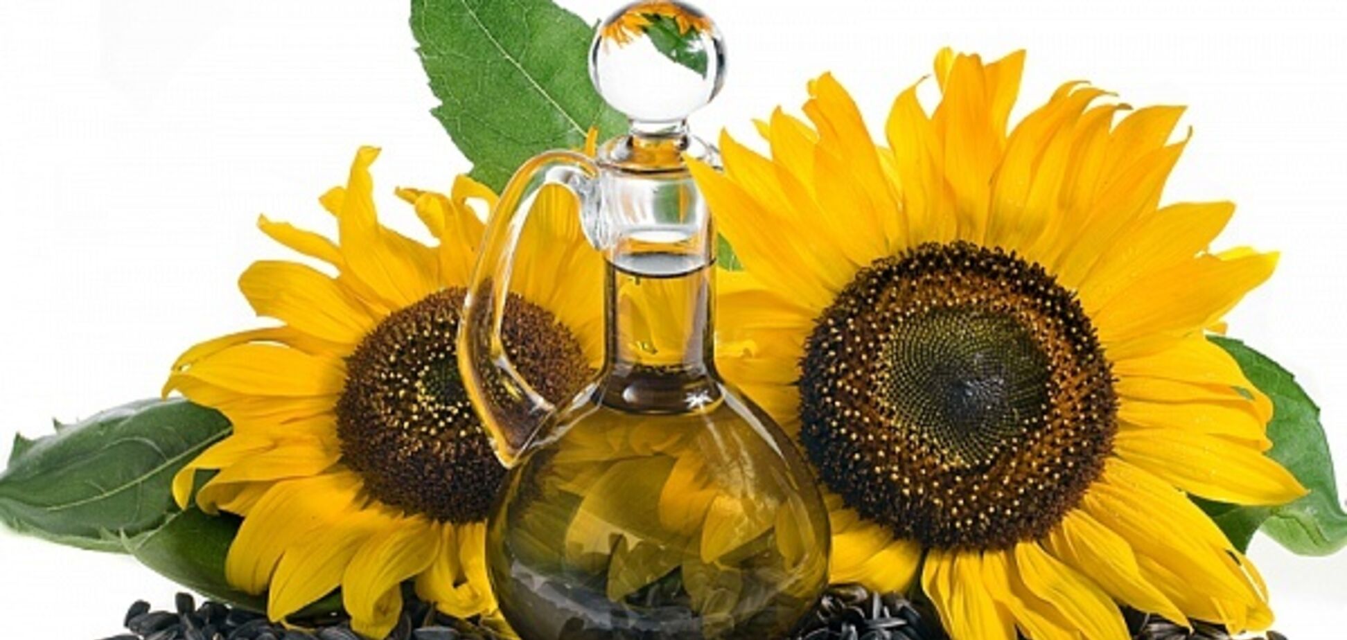 Как выбрать подсолнечное масло: эксперты дали совет