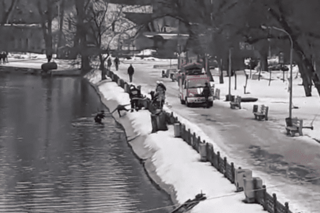 Героический поступок: в Днепре мужчина нырнул в ледяную воду ради дворняжки. Видео