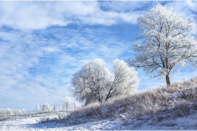 До -20 градусів: синоптики дали ''морозний'' прогноз на січень