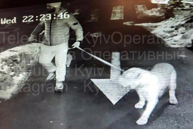 Убийство сотрудника госохраны в Киеве: полицейские раскрыли новые подробности