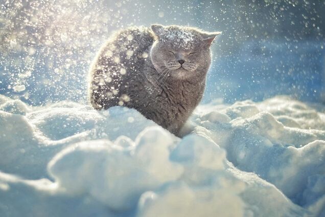 Украину накроют рождественские морозы: погода на неделю