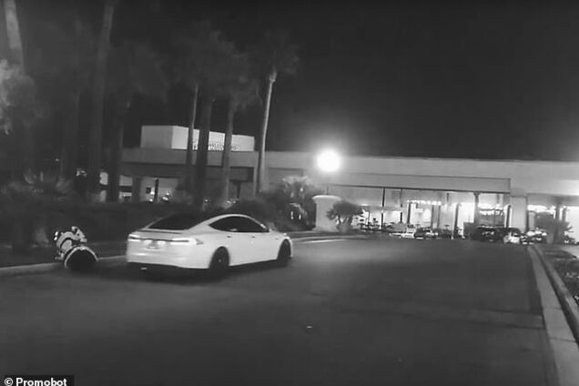 Выскочил на дорогу: Tesla на автопилоте сбила российского робота. Видео