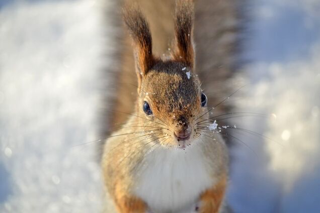 В Киев идут потепление и осадки: названа дата