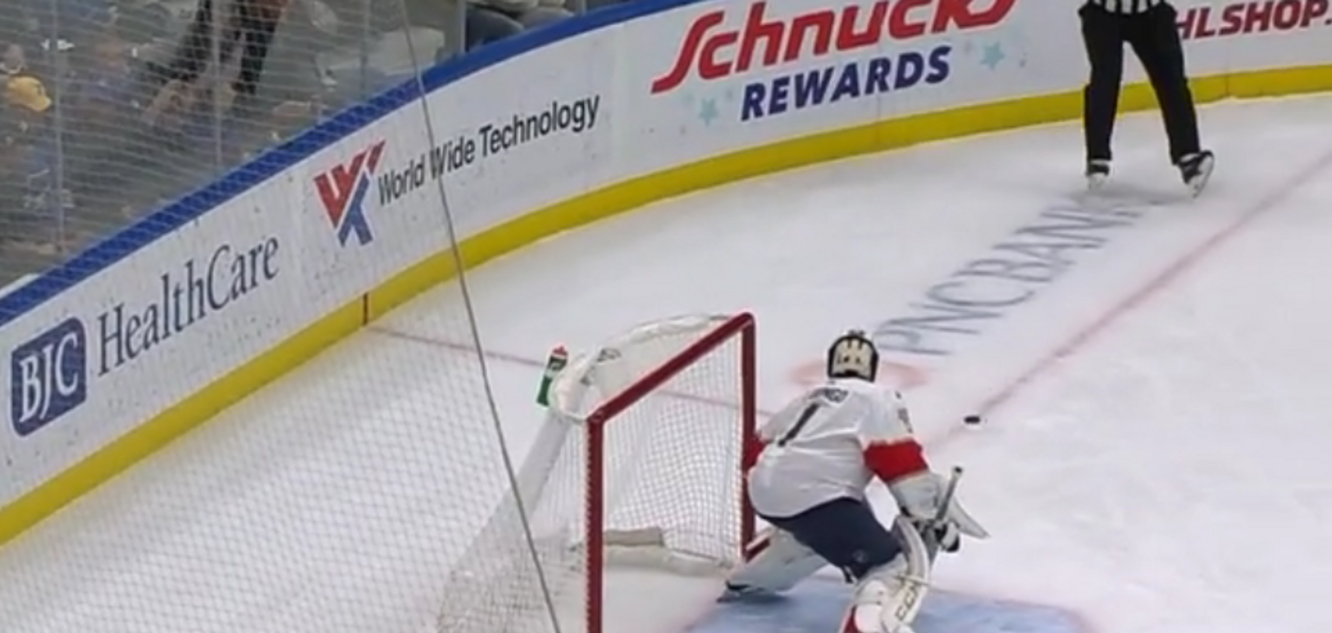 В НХЛ забит самый необычный гол сезона