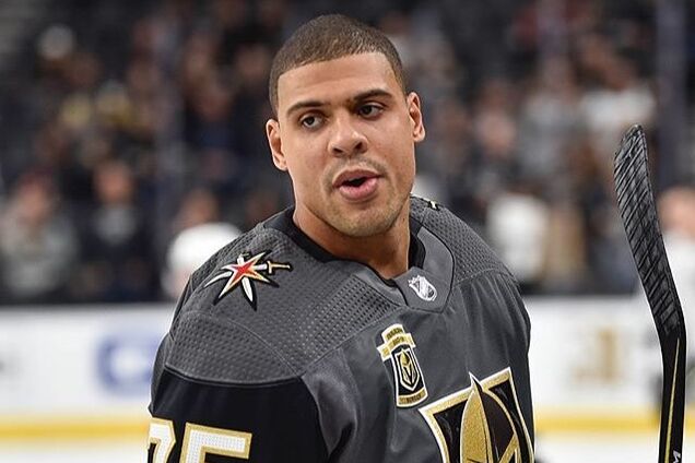 Звезды НХЛ устроили боксерский поединок во время матча