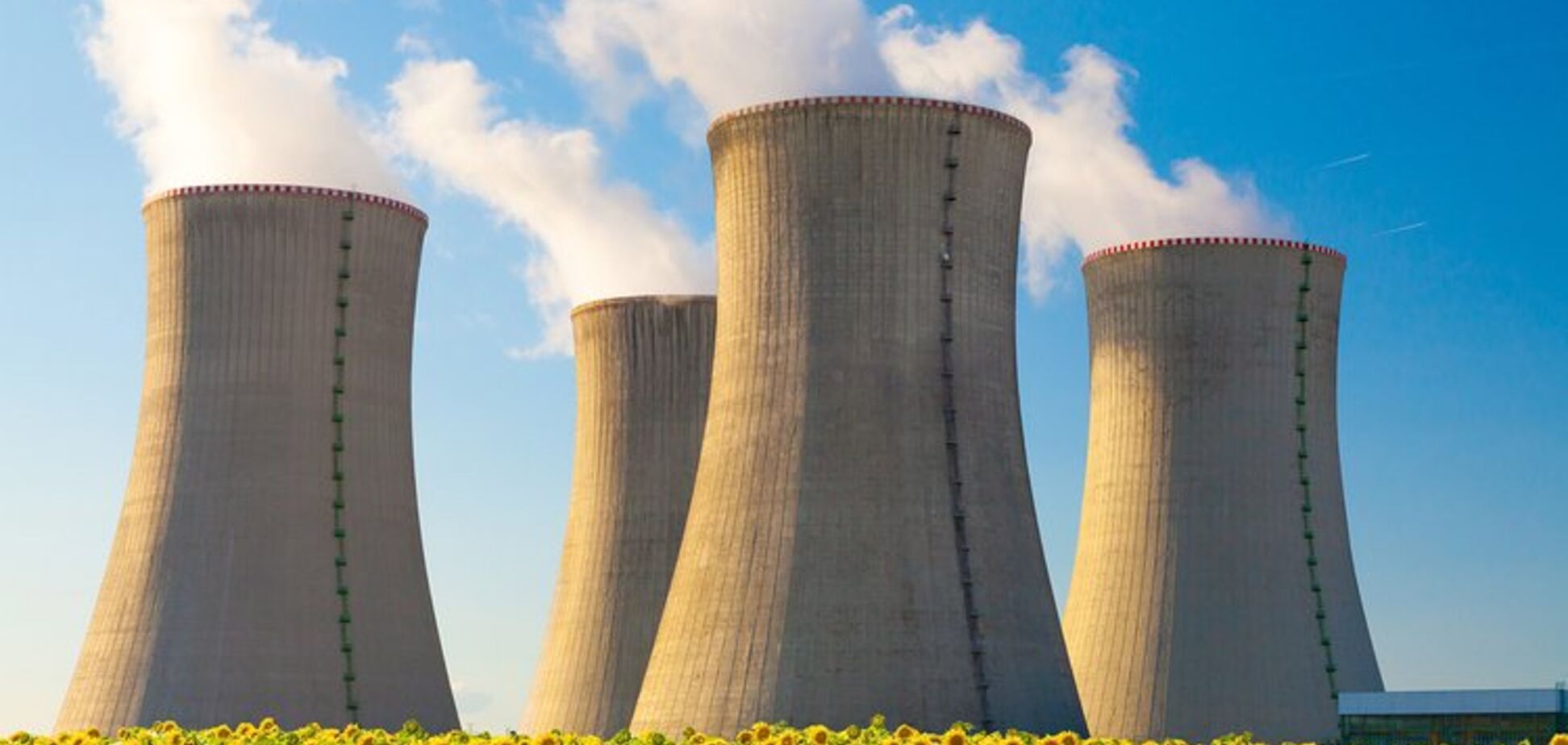'Локомотив энергетики и гарант безопасности': Онищенко назвал задачи правительства в атомной энергетике
