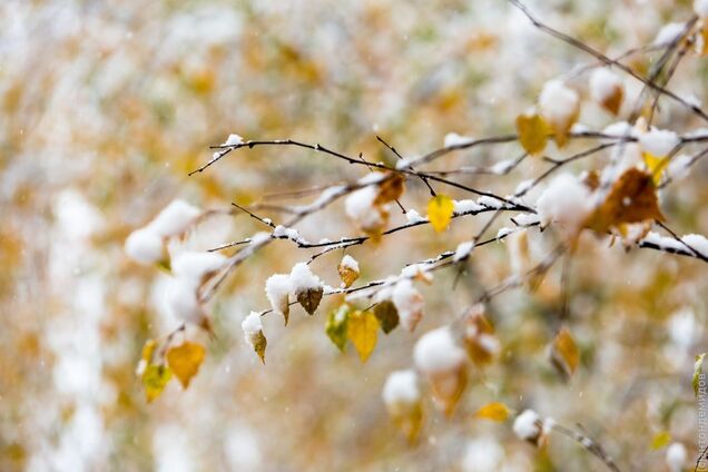 До -23! Синоптики розповіли про сувору погоду у жовтні