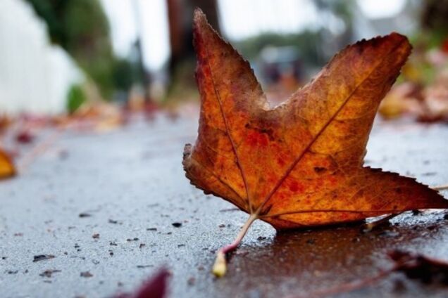 'Бабье лето' закончилось: синоптики предупредили о похолодании в Украине