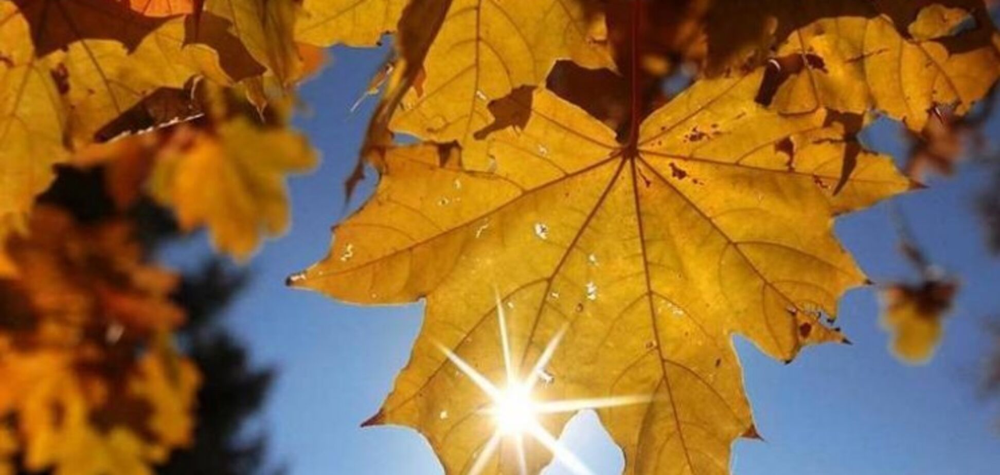 Іде потепління: синоптики уточнили свіжий прогноз по Україні