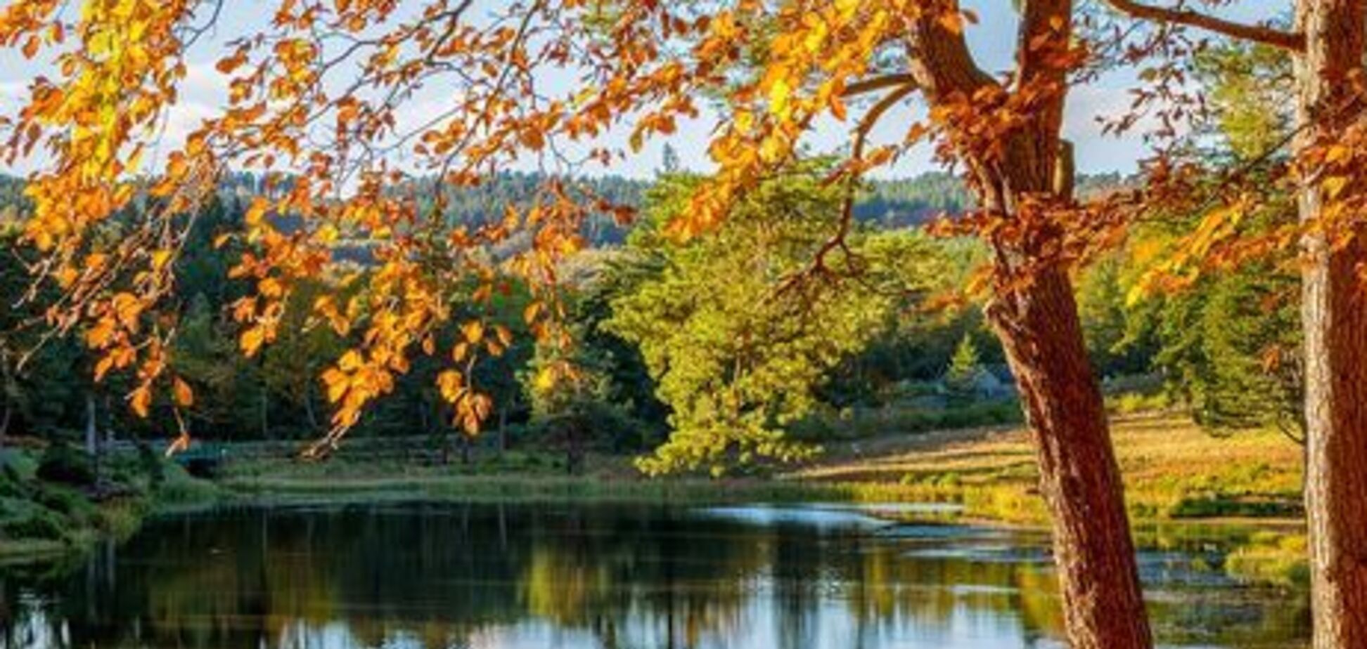 Бабине літо повернулося: синоптикиня дала прогноз погоди по Україні