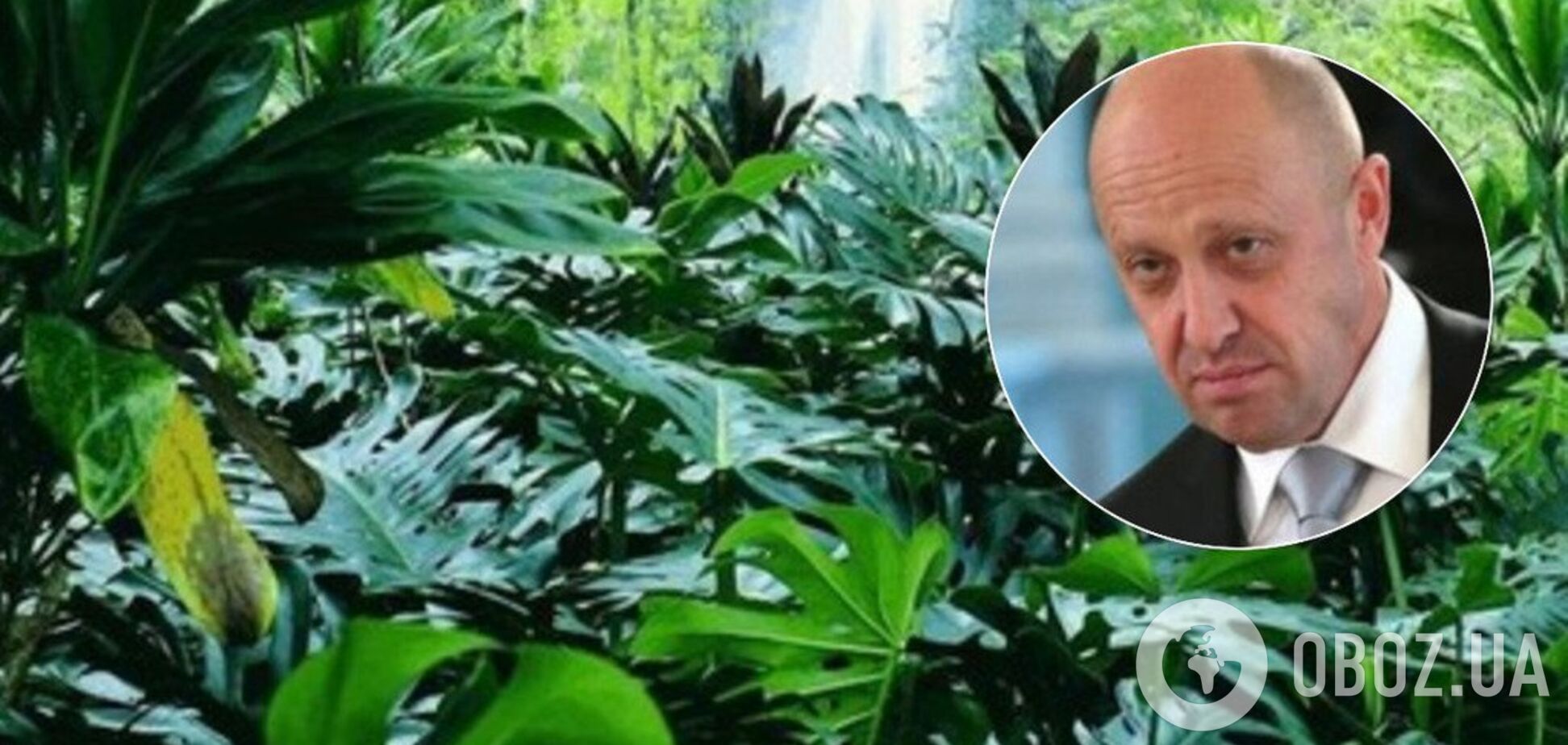 'Могла бути спецоперація': у 'загибелі' кухаря Путіна знайшли важливий нюанс