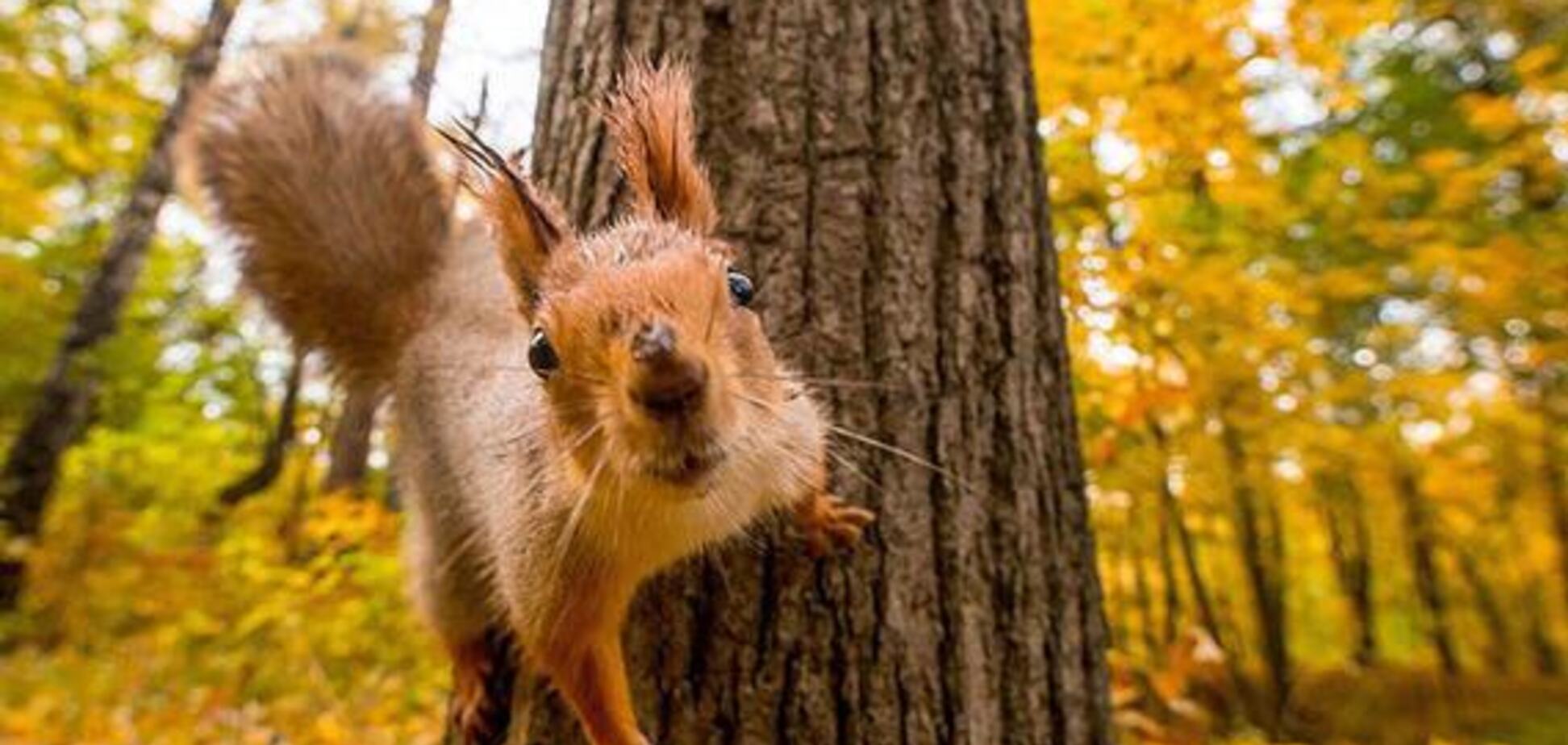 Лето возвращается: синоптики уточнили прогноз до конца недели в Украине