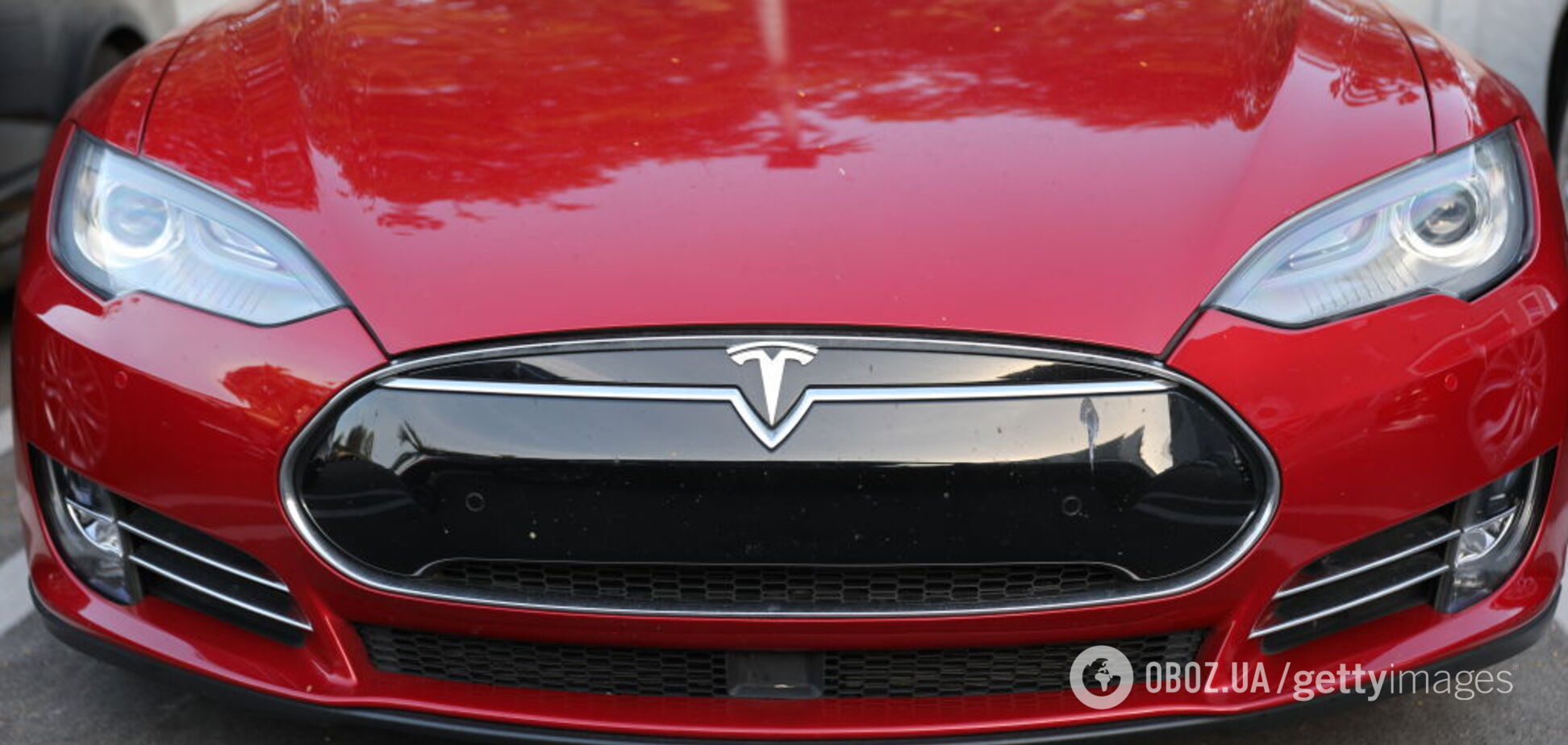 Автопілот Tesla врятував сім'ю ведмедів від загибелі: момент потрапив на відео