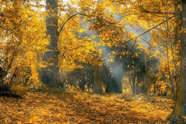 Буде, як у Африці: з'явився несподіваний прогноз погоди в Україні