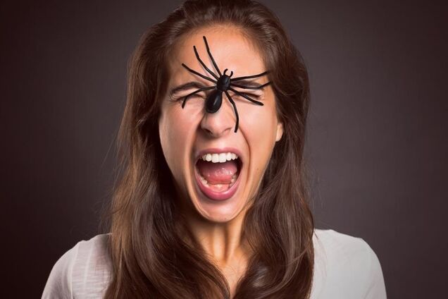 Йдіть із дому! Вчений назвав час найбільшої активності павуків