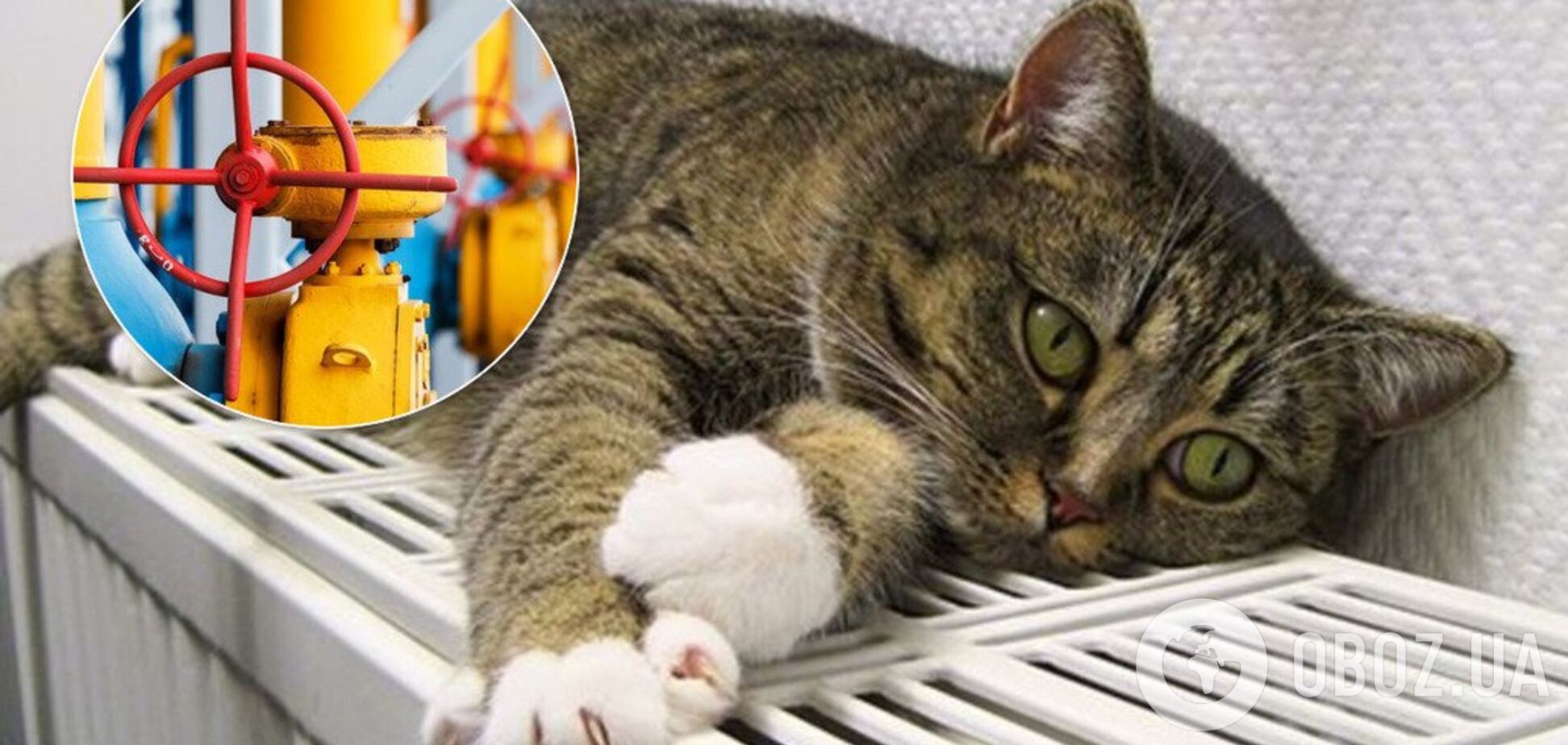 В Украине заявили о возможной техногенной катастрофе: министр рассказала подробности