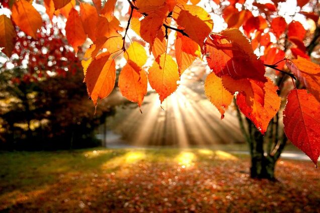 Літо триває: синоптики уточнили прогноз погоди в Україні