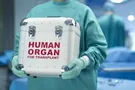 Трансплантація органів в Україні