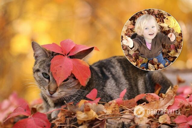 Синоптикиня дала неочікуваний прогноз погоди в Україні