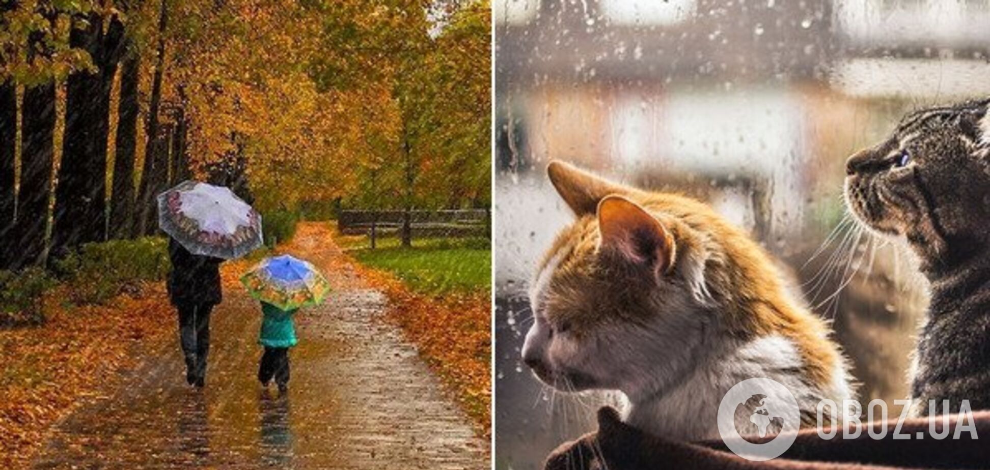 Коли в Україну прийде холодна осінь: синоптикиня назвала дату