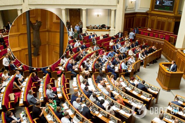 "В Раду пришел черный песец": в сеть попало курьезное видео из парламента