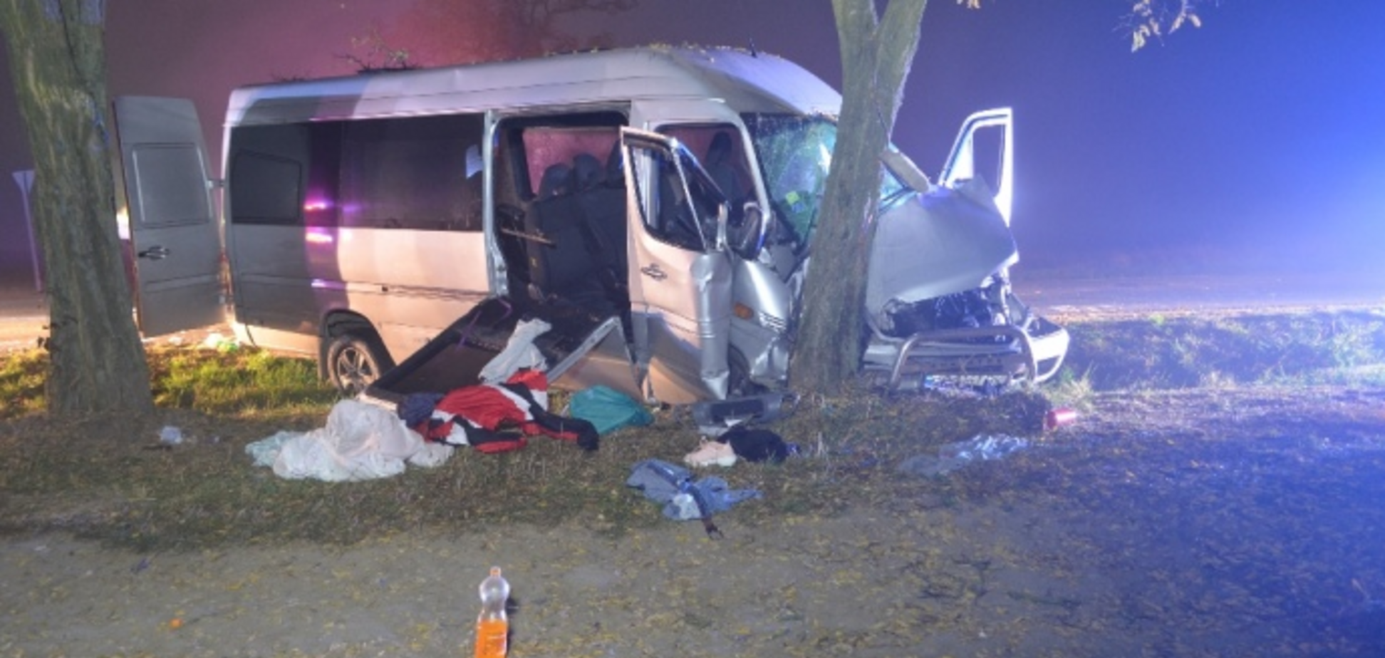 В Венгрии автобус с украинцами разбился в ДТП: подробности и фото