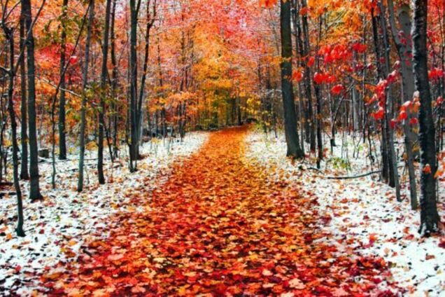 Когда ударят первые морозы в Украине: синоптик удивил прогнозом