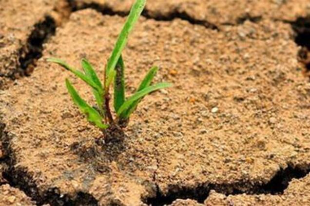 'Превратится в пустыню': озвучен тревожный прогноз по Крыму