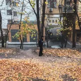 В Киеве на территории университета культуры повесился парень