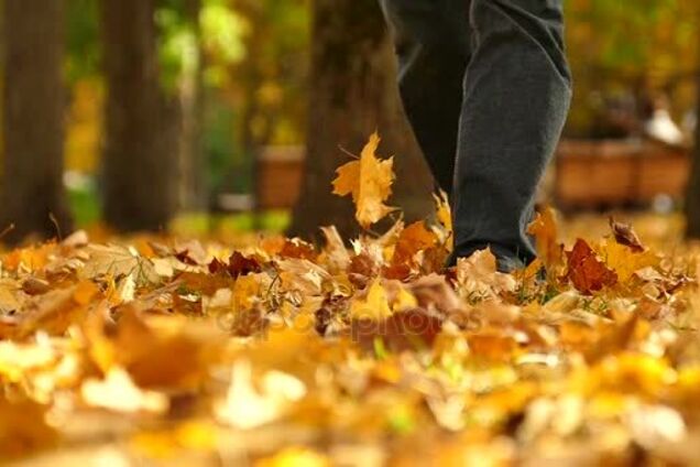 Приметы и праздники 22 октября: что нельзя делать