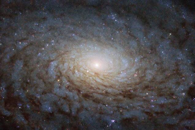"Портал до іншого виміру": NASA показало фантастичний знімок галактики