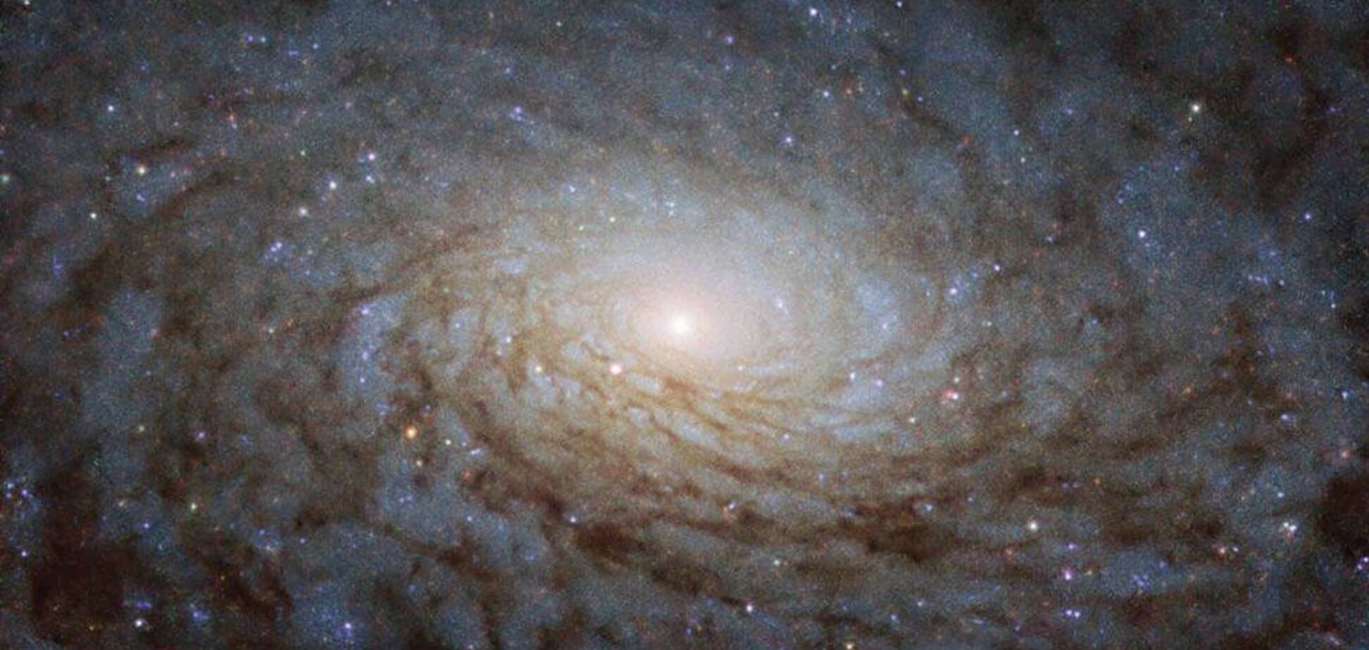 'Портал до іншого виміру': NASA показало фантастичний знімок галактики