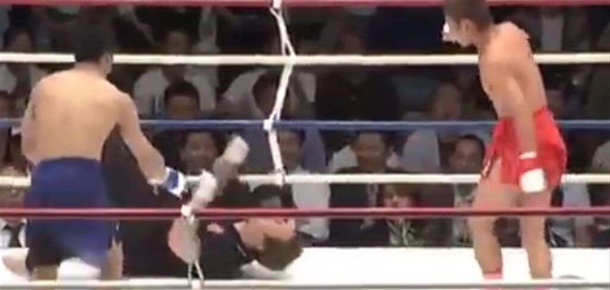 Боксер жестким ударом отправил судью в нокаут - опубликовано видео