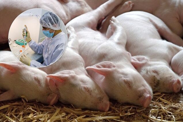 Недосмотрели: кто и почему недоволен работой Госпродпотребслужбы