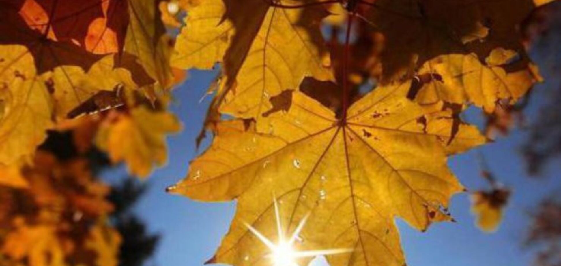 Тепло й сонячно: синоптики уточнили прогноз погоди в Україні