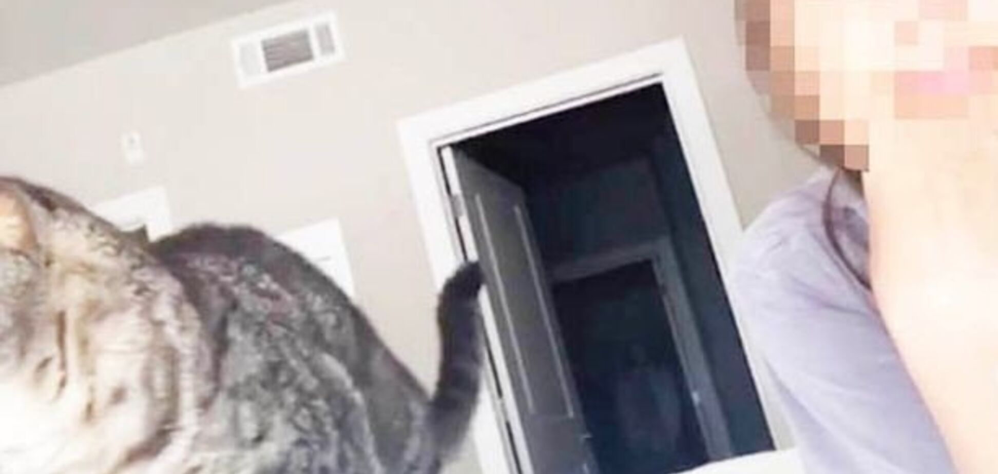 'Человек в шкафу!' Сеть напугало жуткое видео с 'призраком'