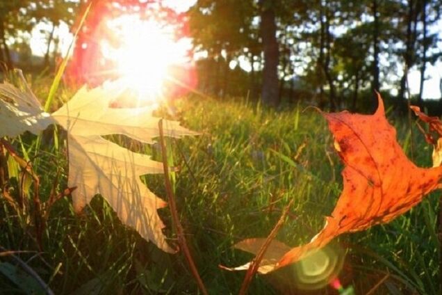 Последнее тепло! Синоптик уточнила прогноз погоды в Украине