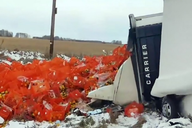 С ящиками и авоськами: россияне набросились на халявные фрукты и попали на видео